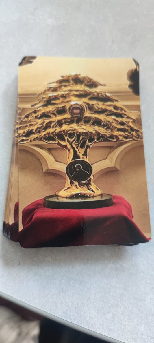 ORACLE DE ST CHARBEL