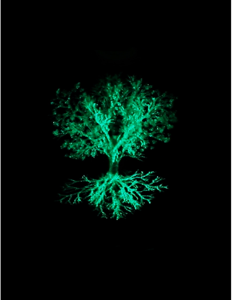 Sphère 3D arbre de vie